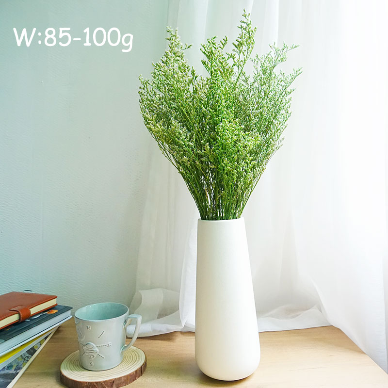 70g/Flor de Limonium Preservad - Dried Flower Bulk avaliação e preço